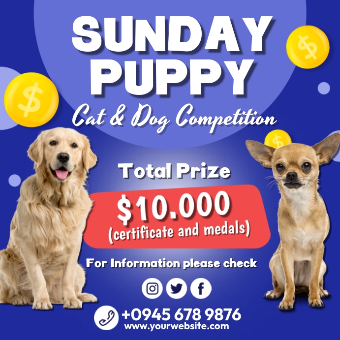 Cat And Dog Competition Ads Template | PosterMyWall
