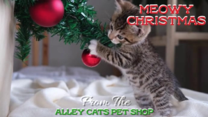 Brown Christmas Pet Shop Promotion Ekran reklamowy Template