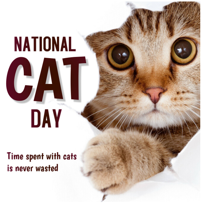 Cat day Instagram Post template
