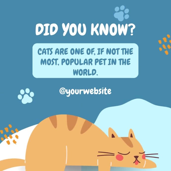 Cat Fact File Layout Cat Facts Template | PosterMyWall
