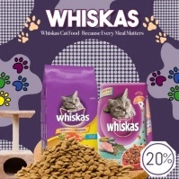 Cat Food Product Advertisement Instagram Post template