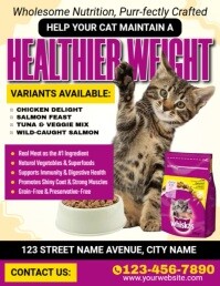 Cat Food Sale Ads Folder (US Letter) template