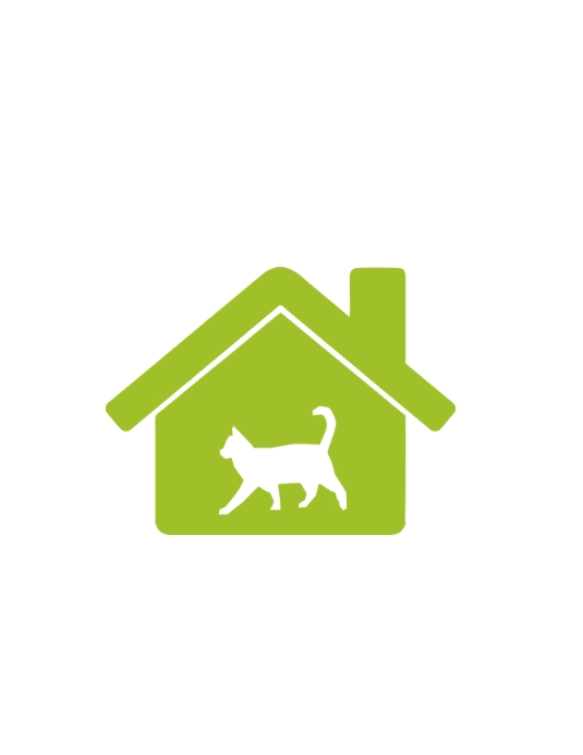 Cat house ใบปลิว (US Letter) template