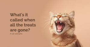Cat Joke template for facebook Obraz udostępniany na Facebooku