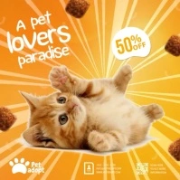 Cat Lovers Video Ads Square (1:1) template