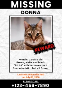 Cat Missing poster A4 template