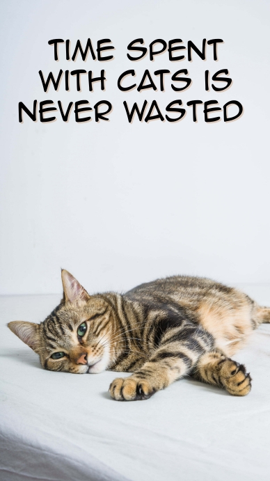 Modele Chat Animal De Compagnie Instagram Citation Histoire Postermywall Modele Chat Animal De Compagnie Instagram Citation Histoire Postermywall