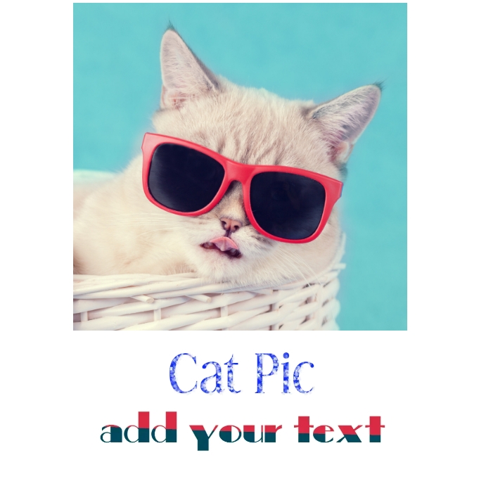 Copy of Cat pic | PosterMyWall Copy of Cat pic | PosterMyWall