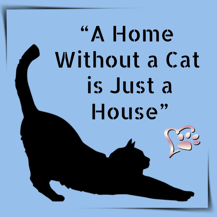 Cat Quotes SIgn Template | PosterMyWall