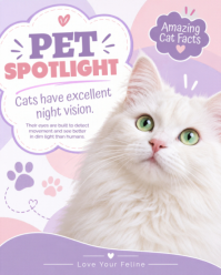 Biały Cat Facts Instagram Portrait Template