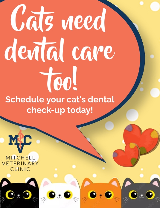 Cats Need Dental Care Template PosterMyWall