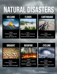 CAUSES AND EFFECTS OF NATURAL DISASTERS Flyer (US Letter) template