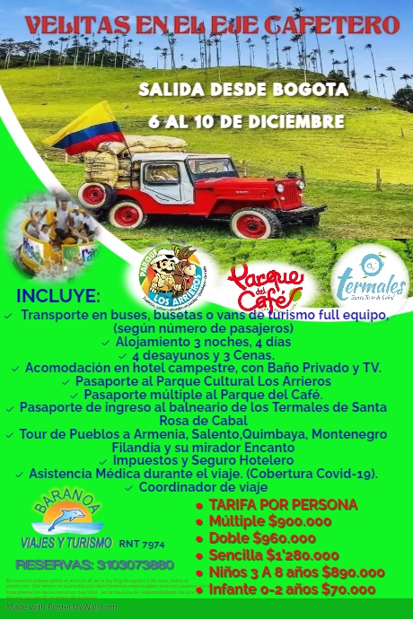 Travel Itinerary Poster template