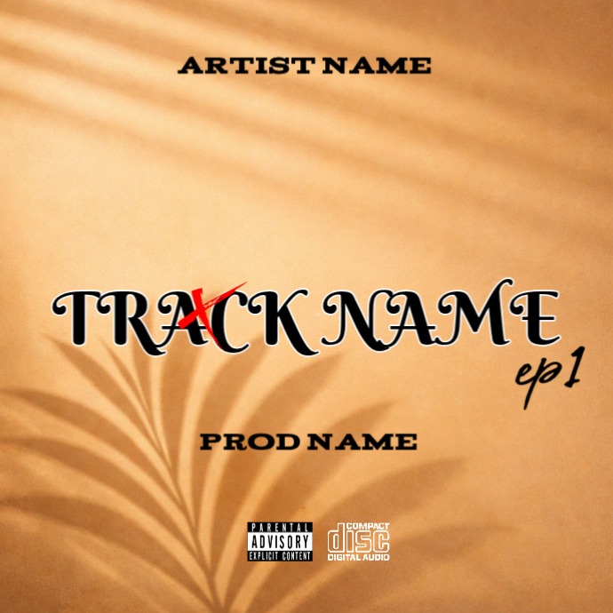 Plantilla de CD mixtape song album cover art work template | PosterMyWall