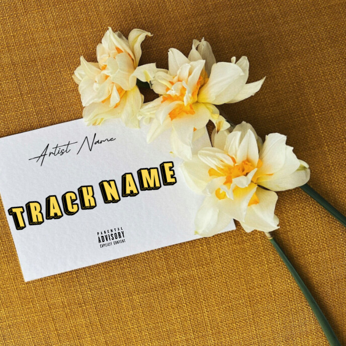 Plantilla de CD mixtape song album cover art work template | PosterMyWall