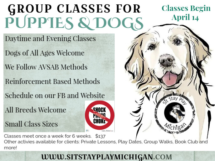 international dogs day PRESENTATION Template