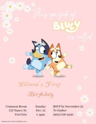Liliana's Birthday Party