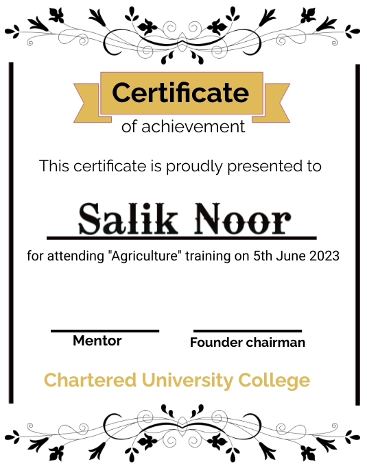 Certificate Flyer (US Letter) template