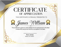 certificate of apperication Flyer (US Letter) template