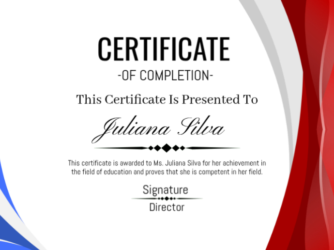 Certificate of application Presentazione template