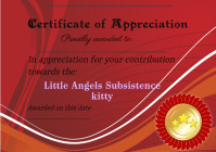 Certificate of Appreciation A5 template