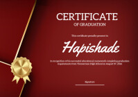 Certificate Of Appreciation A4 template