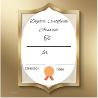 Certificate Template Instagram Plasing