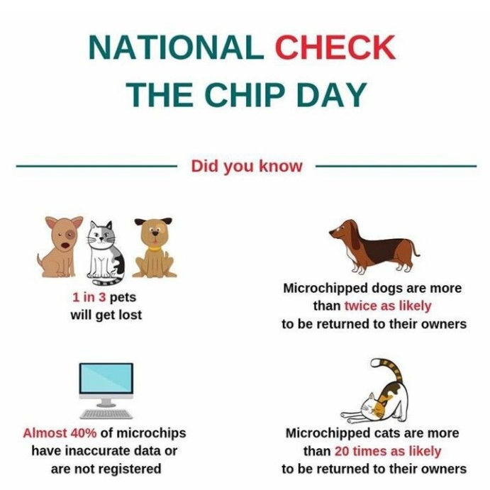 Check the Chip Day template design | PosterMyWall