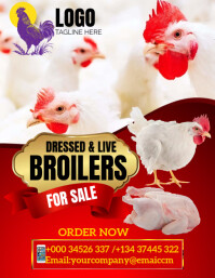 Broilers Flyer Design Broiler Chicken Poster Template | PosterMyWall