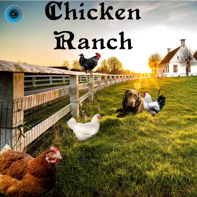 Digital Chicken Ranch chicken ranch Template | PosterMyWall