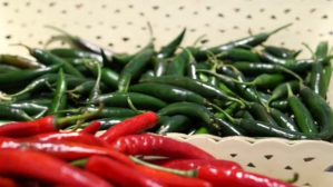 Red chilli cook of YouTube-miniature Template