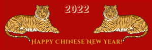 Chinese new year 2022, minimalist template E-poskop