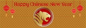 Chinese new year 2022 E-poskop template
