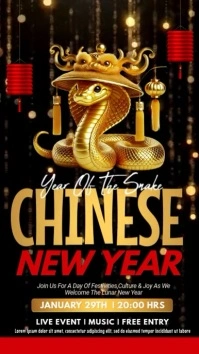 Chinese new year,2025,event Instagram Story template