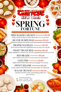 Chinese New Year Spring Fortune Poster template