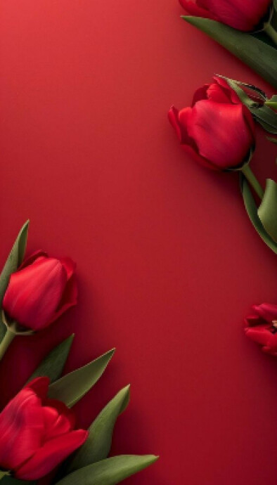 Christmas design templates Business Card