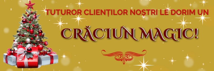 Romanian Christmas greetings Email Header template