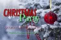 Christmas Party Poster template