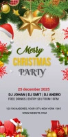 Christmas Party Roll Up Banner 3 x 6 template