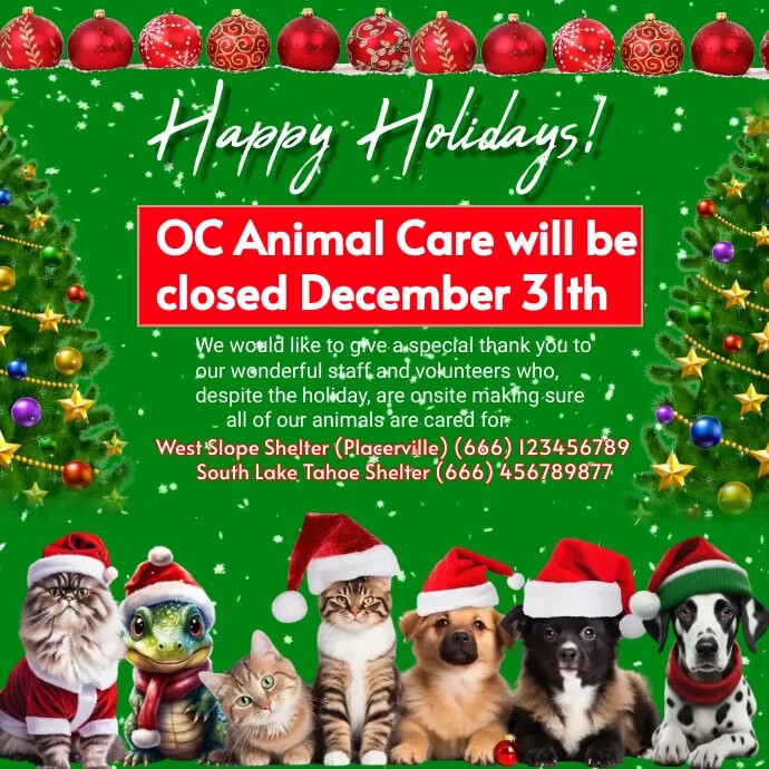 Christmas Pet Adopt Flyer Template PosterMyWall christmas-pet-adopt-flyer-template-postermywall