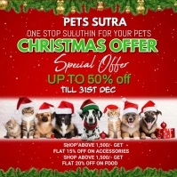Christmas pet adopt flyer Сообщение Instagram template