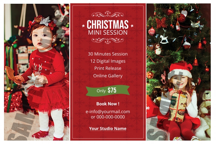 Christmas Photography Mini Session 标签 template