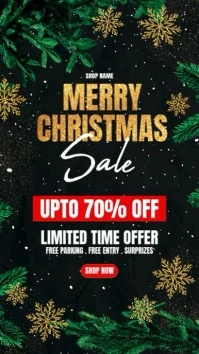 christmas retail Instagram Story template