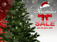 Christmas Sale Flyer Template Presentation
