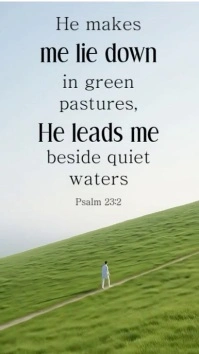 Church bible verse of the day instagram story design template