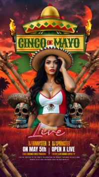 cinco de mayo party Instagram Story template