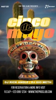 Cinco De Mayo Poster Instagram Story template