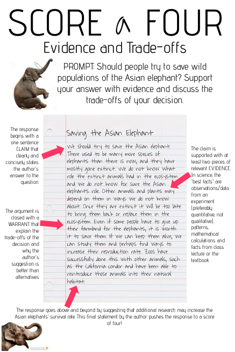 Cew Examples Claim, Evidence, Warrant Response Writing Template | PosterMyWall