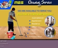 cleaning and maintenace service flyer Large Rectangle template