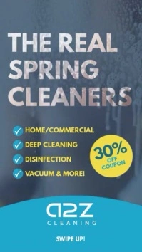 Blue Spring Cleaning Service Instagram Video template